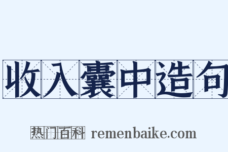 收入囊中造句是什么意思的图片